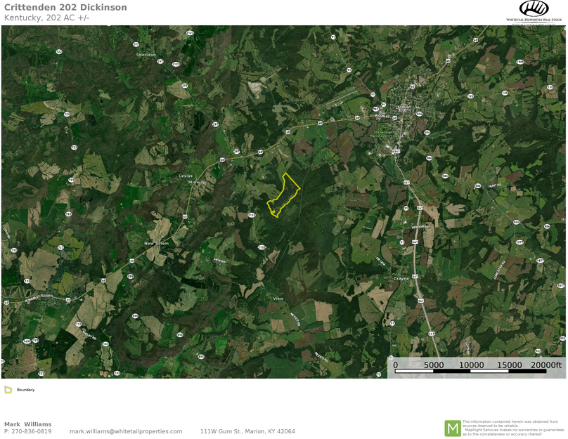 Crittenden 201.98 airplane