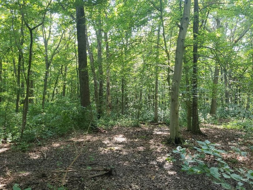 15ac_Ches_MillingtonRd_KENT_014