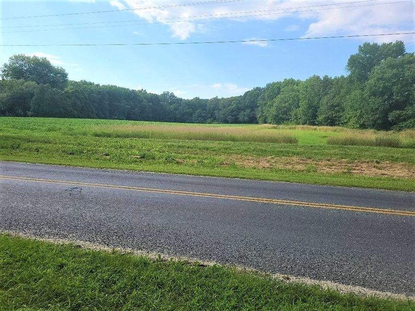 15ac_Ches_MillingtonRd_KENT_019