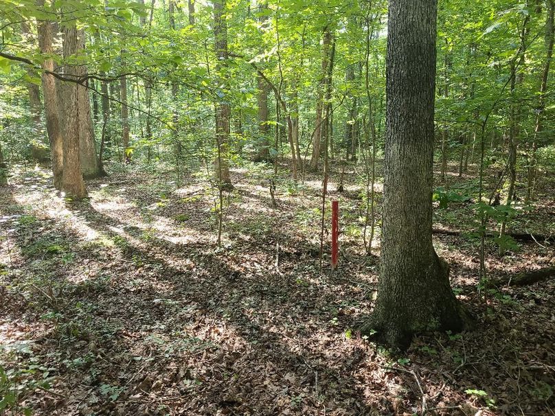 15ac_Ches_MillingtonRd_KENT_016