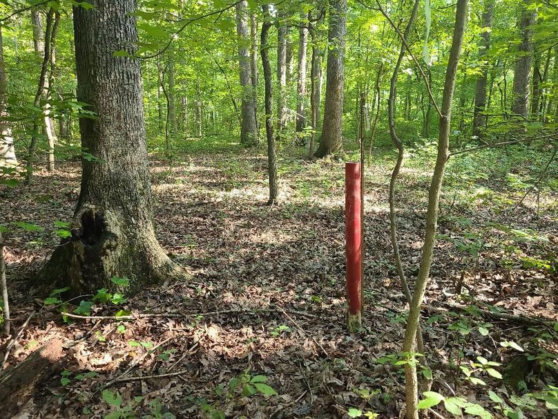 15ac_Ches_MillingtonRd_KENT_017