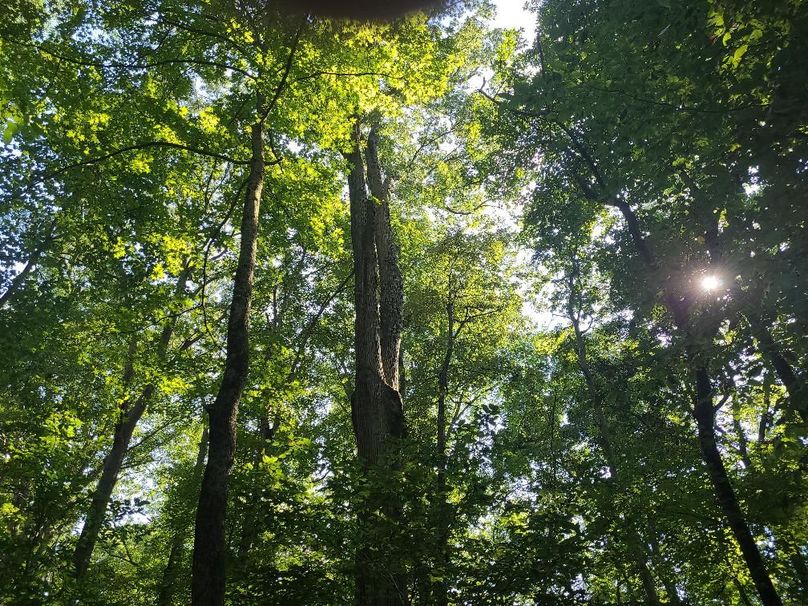 15ac_Ches_MillingtonRd_KENT_015