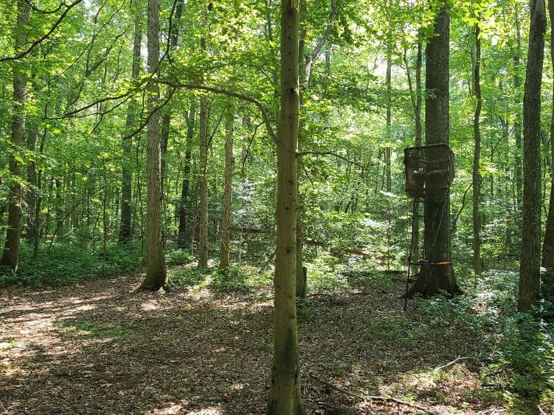 15ac_Ches_MillingtonRd_KENT_006