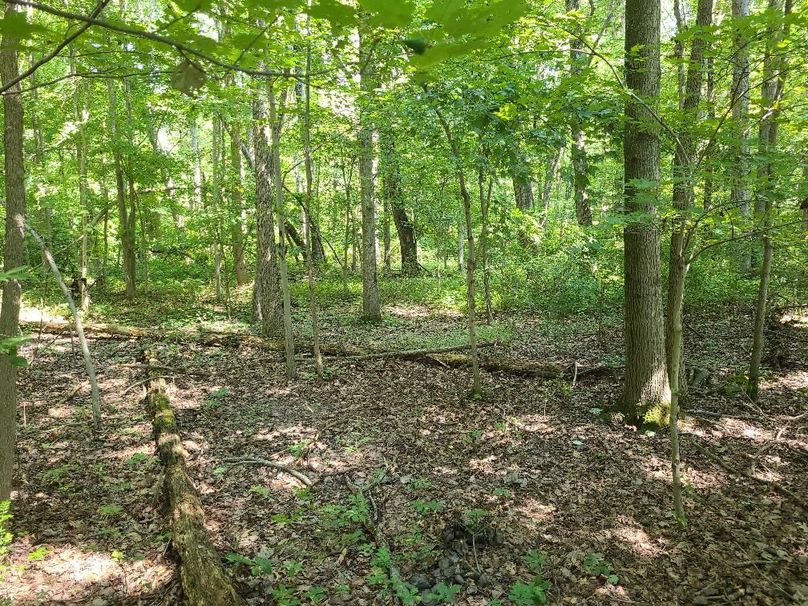 15ac_Ches_MillingtonRd_KENT_003