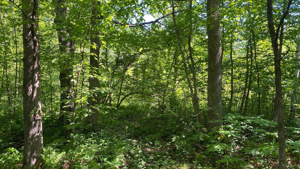 Hunting And Fishing On This Riverfront Property Near Mille Lacs Lake