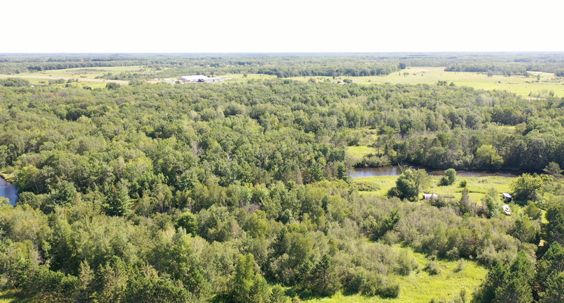 Screen Shot 2022-08-11 at 10.57.19 AM