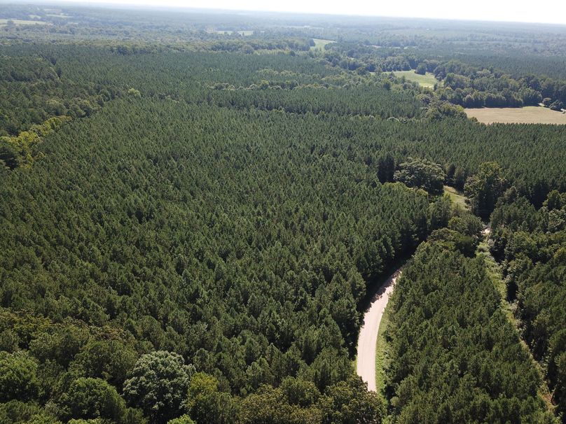 DJI_0061