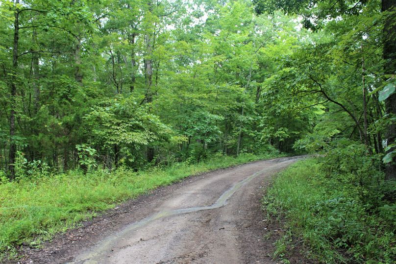 009 the road leading past the property and on toward the National Forest