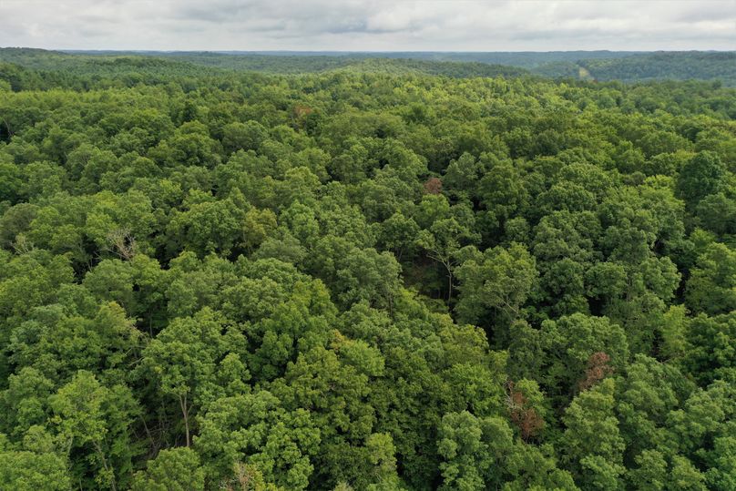 006 aerial drone shot from the south edge looking north