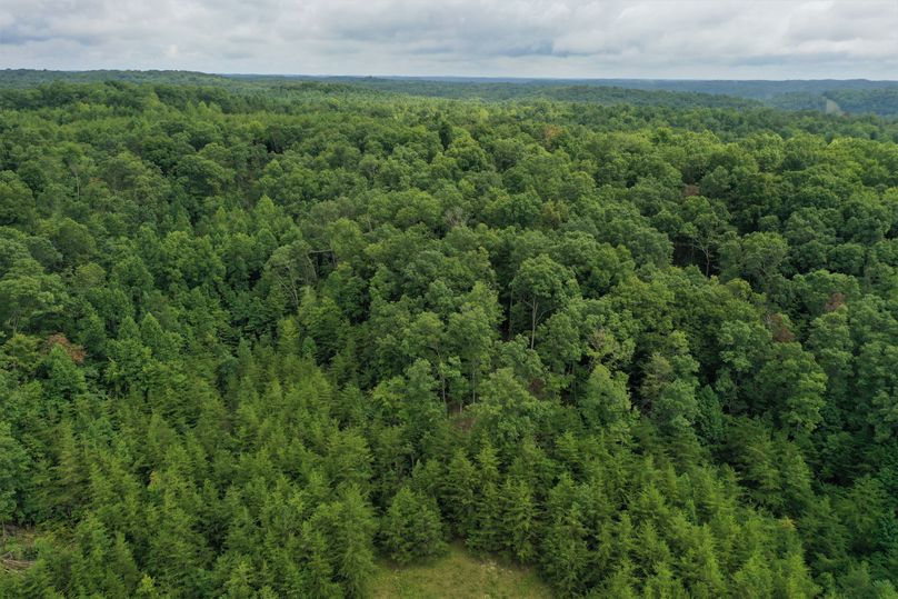 011 aerial drone shot from the south boundary looking northwest toward the National Forest