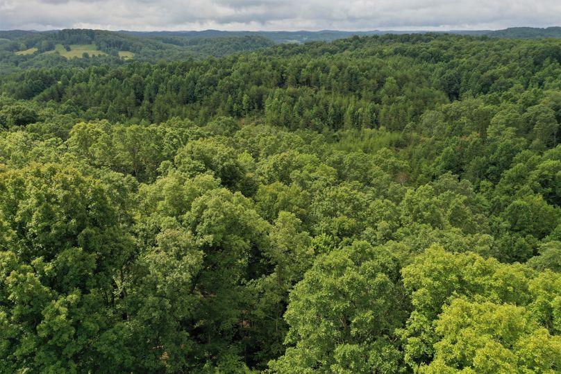 002 drone shot from the north boundary looking to the southwest over the property