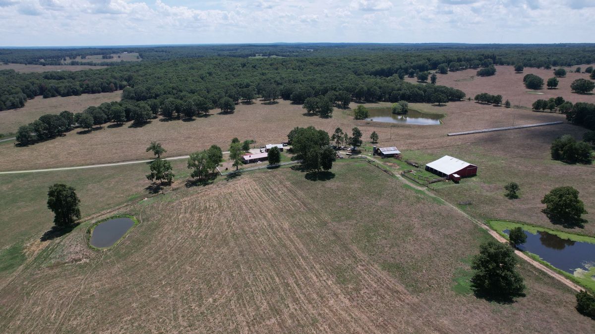 Manicured Farm On Blacktop With Home, Cattle, And Hunting Opportunities ...