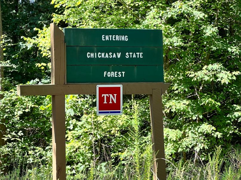 Copy of State Forrest sign