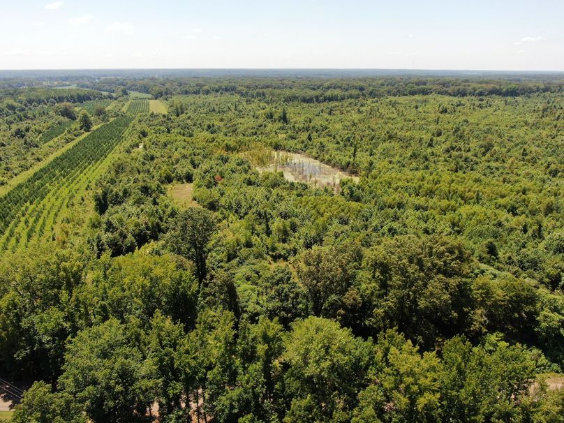 (1)Track 4 from Road