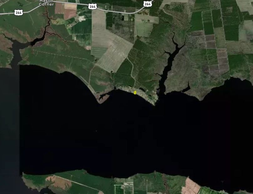 Beaufort Co NC .56 - Medalis Zoom Out