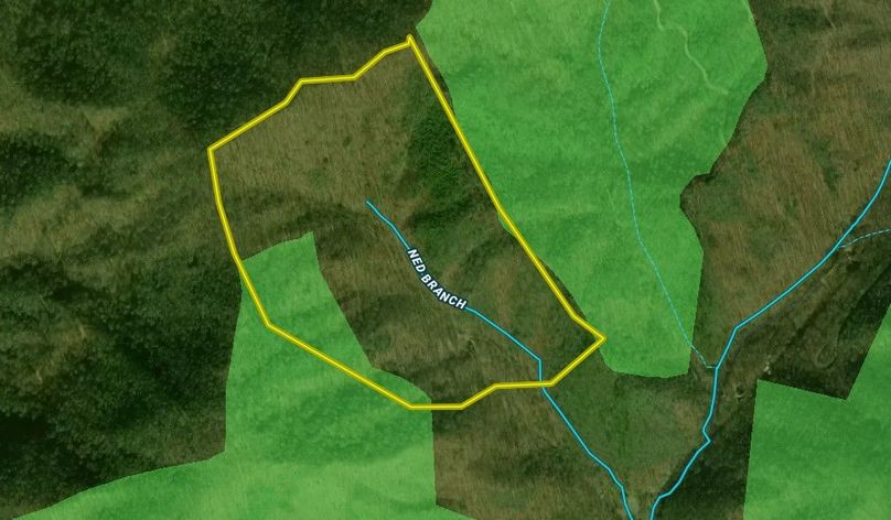 Screenshot 2022-08-11 083927