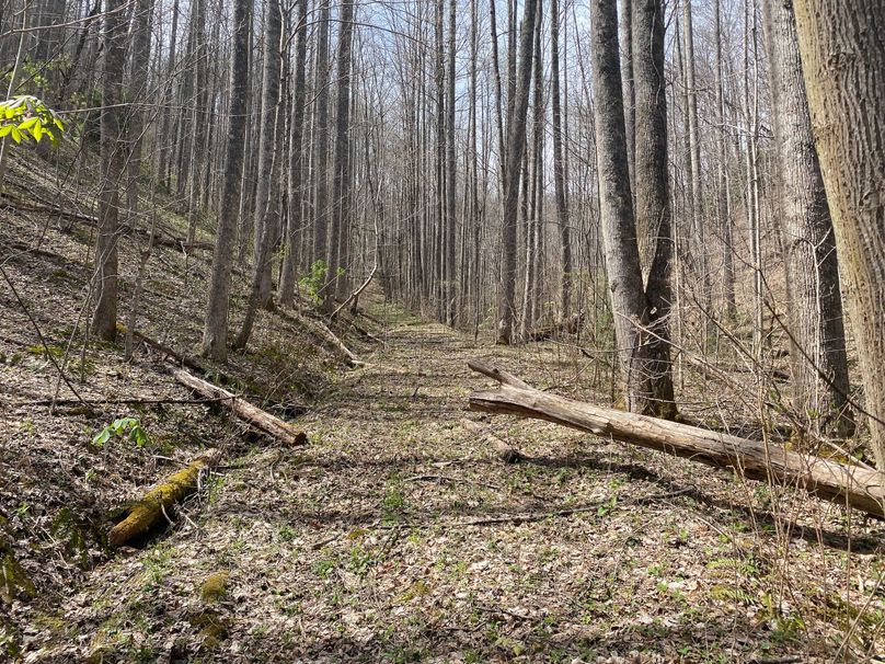 Jackson Co NC 82 Ingram-18