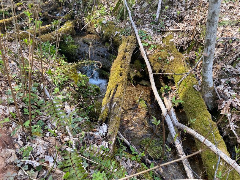 Jackson Co NC 82 Ingram-11