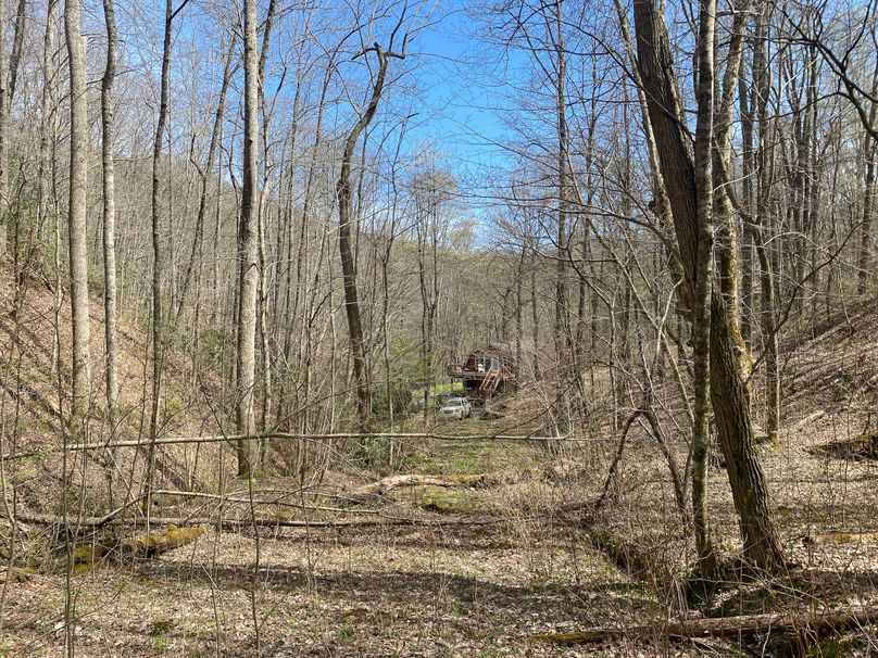 Jackson Co NC 82 Ingram-17