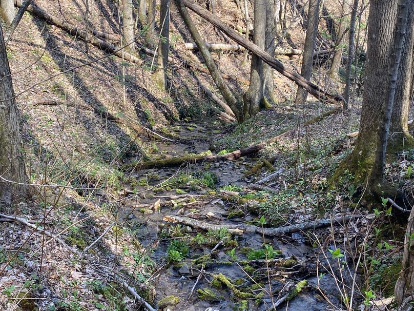 Jackson Co NC 82 Ingram-29