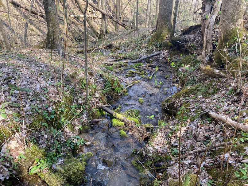 Jackson Co NC 82 Ingram-12