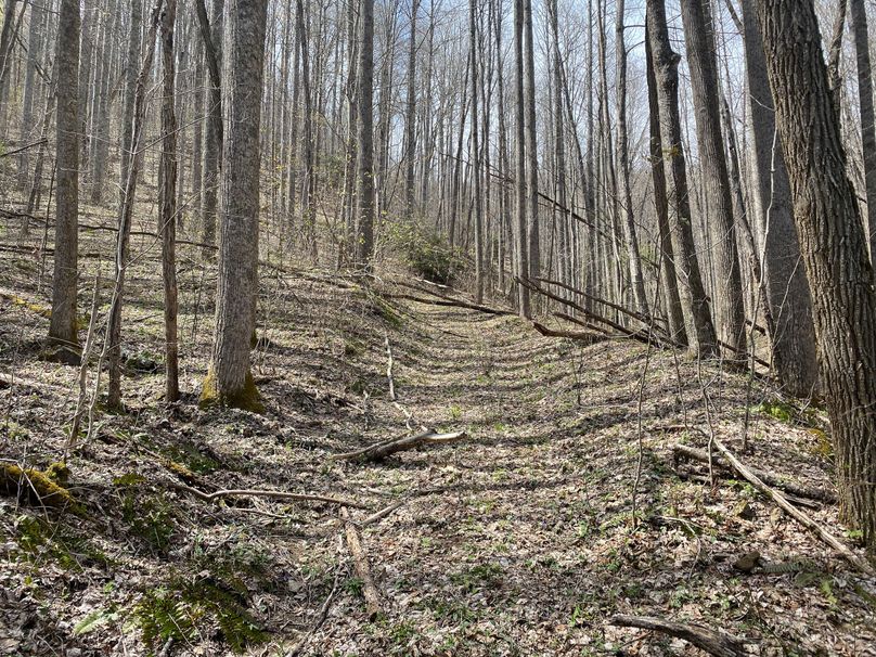 Jackson Co NC 82 Ingram-19