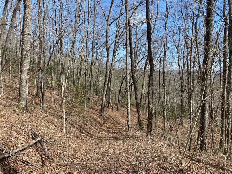 Jackson Co NC 82 Ingram-27