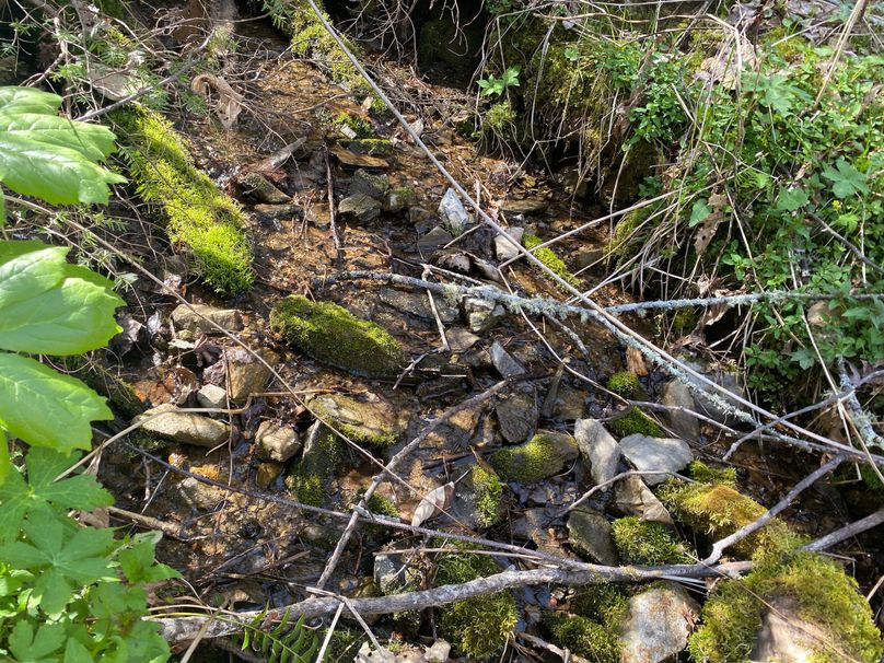 Jackson Co NC 82 Ingram-08