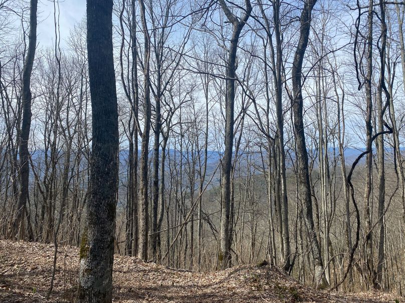 Jackson Co NC 82 Ingram-22