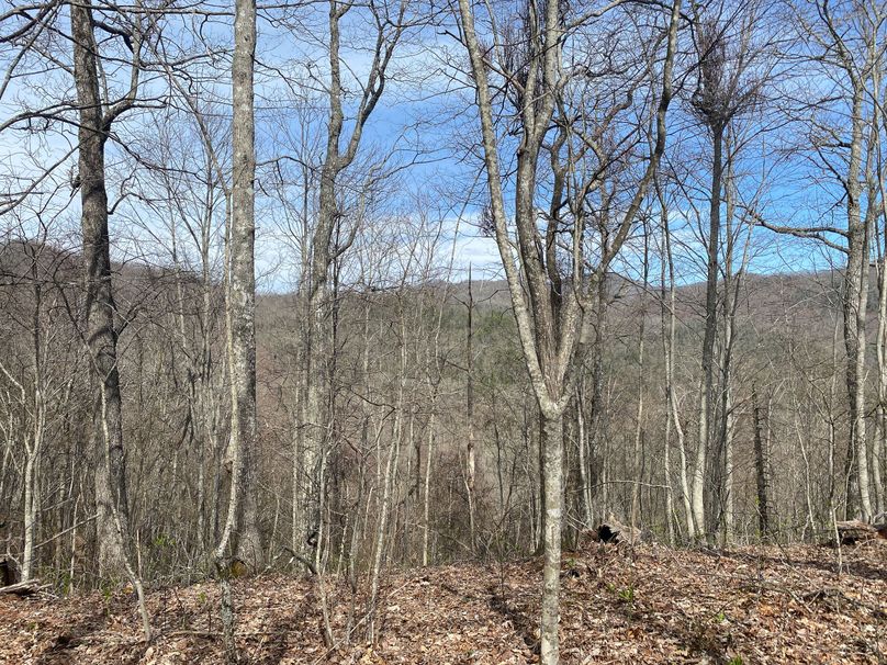 Jackson Co NC 82 Ingram-26