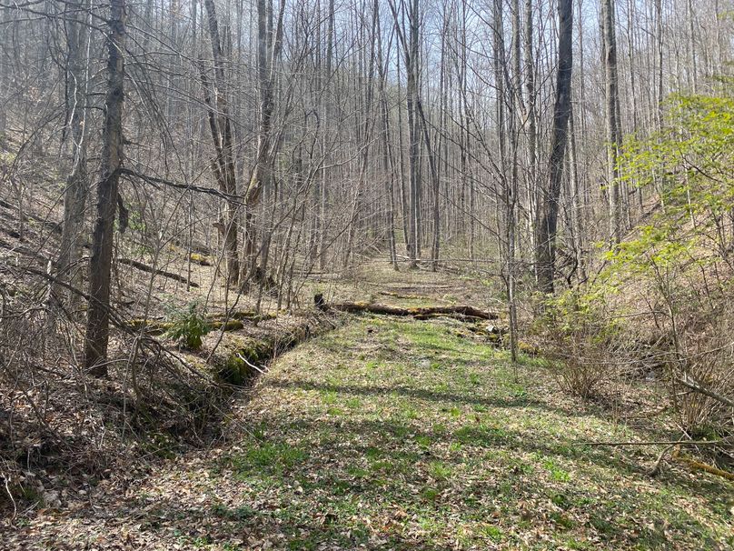 Jackson Co NC 82 Ingram-16