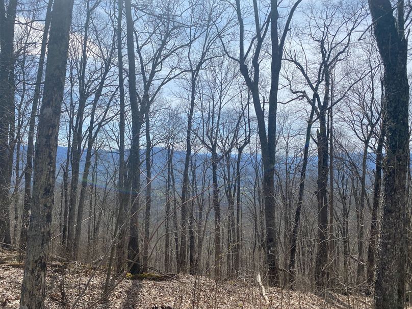 Jackson Co NC 82 Ingram-23