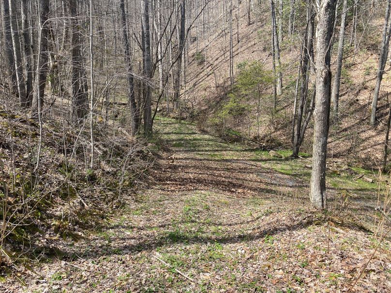 Jackson Co NC 82 Ingram-14