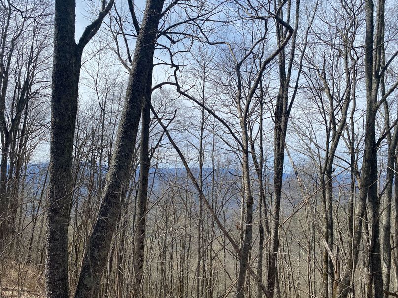 Jackson Co NC 82 Ingram-24