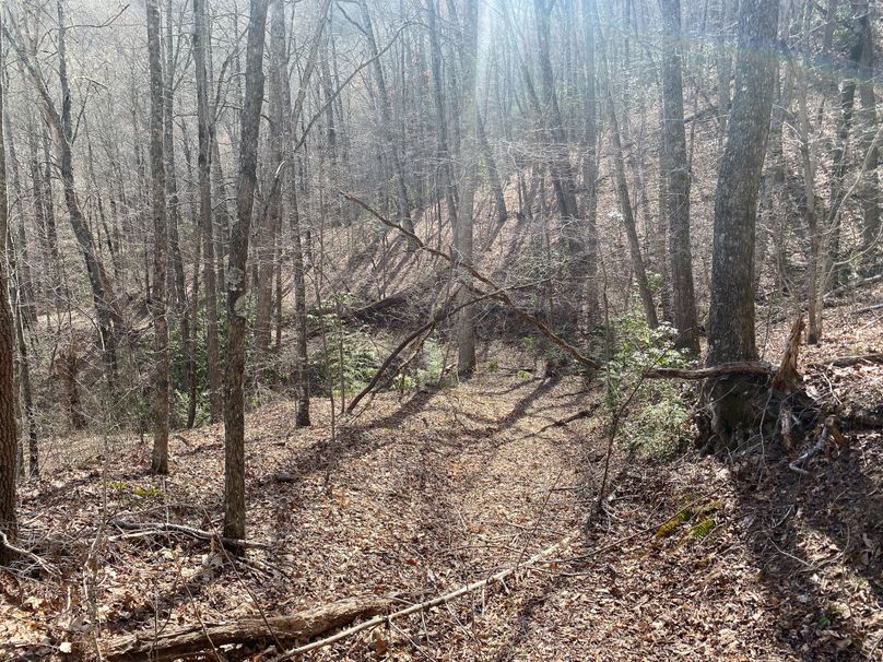 Jackson Co NC 82 Ingram-28