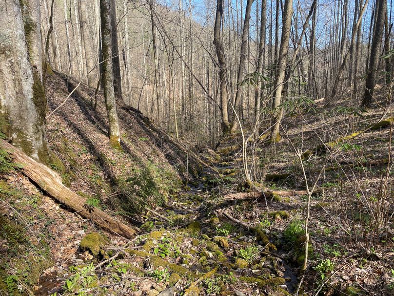 Jackson Co NC 82 Ingram-13