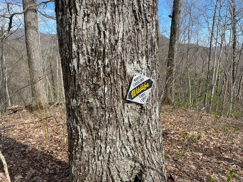 Jackson Co NC 82 Ingram-25