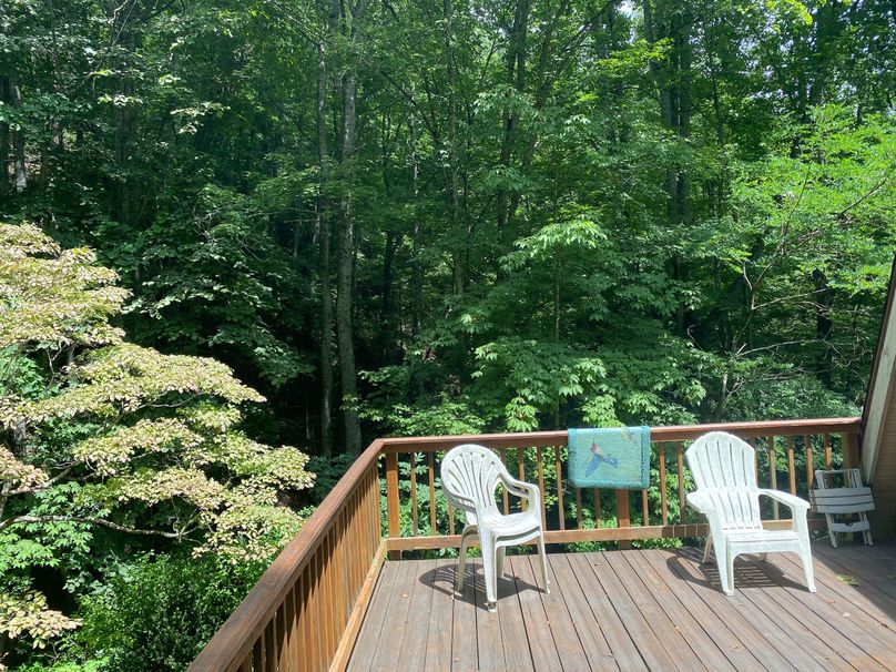 Jackson Co NC 82 Ingram-06