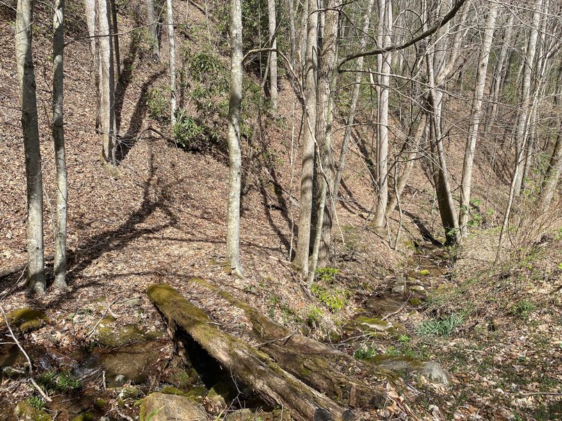 Jackson Co NC 82 Ingram-15