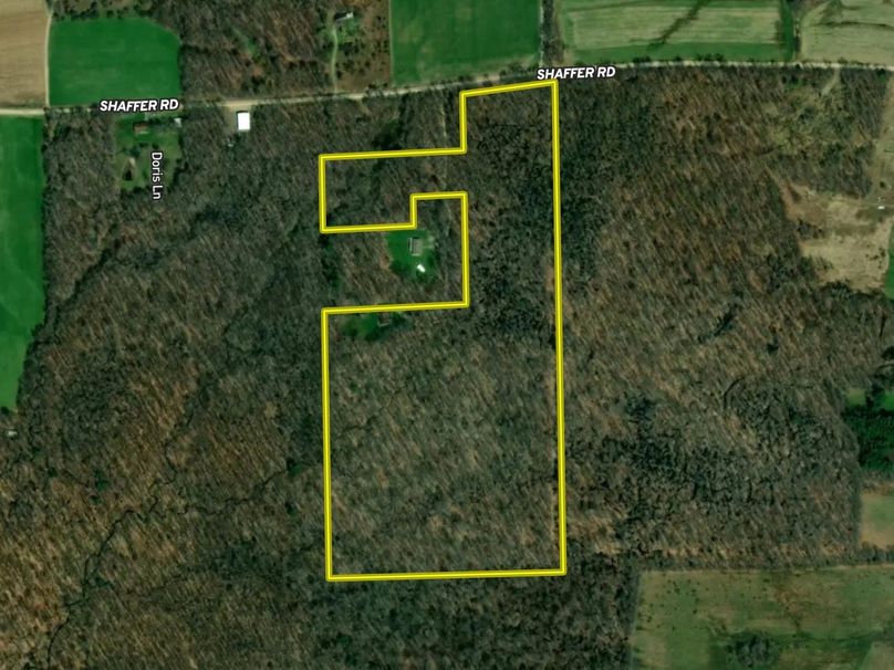 Screen Shot 2022-08-01 at 12.08.55 PM