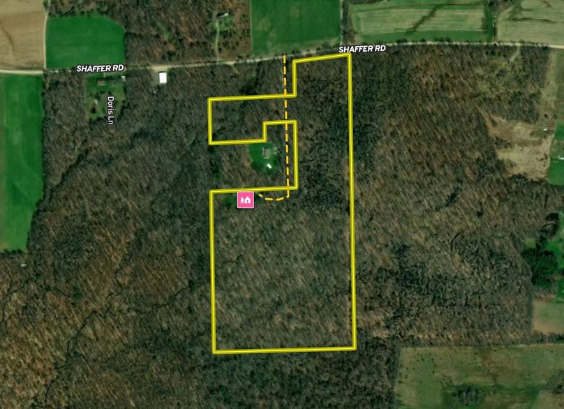 Screen Shot 2022-08-01 at 12.10.02 PM