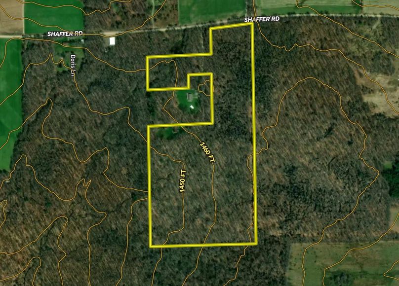 Screen Shot 2022-08-01 at 12.09.08 PM