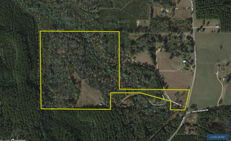 Screen Shot 2022-08-05 at 3.32.16 PM