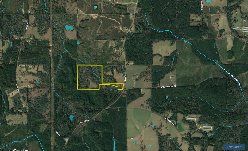 Screen Shot 2022-08-05 at 3.32.59 PM