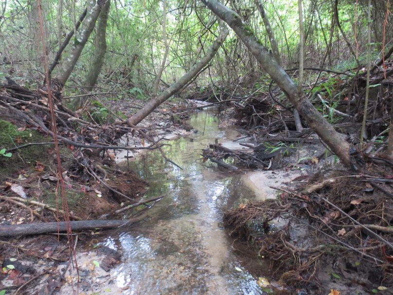 ABAF762F-28A7-4F2C-8131-9E5264CFC412