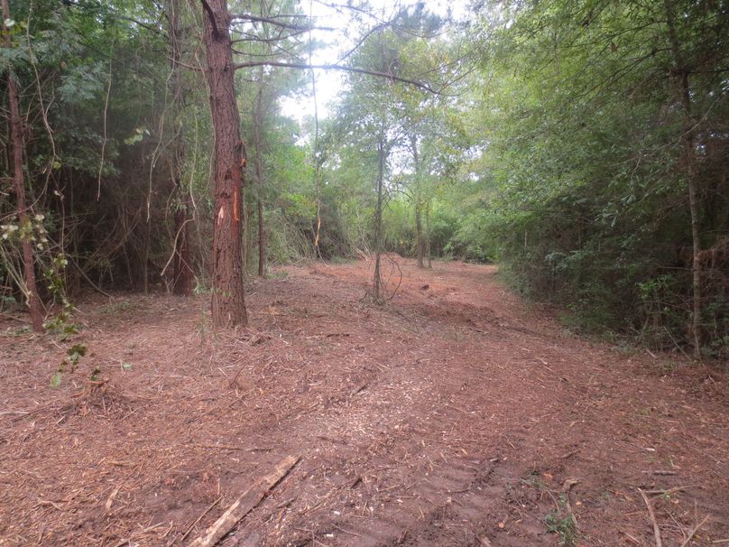 1C9C2C0F-77B6-4F3F-803F-AED92129A14A