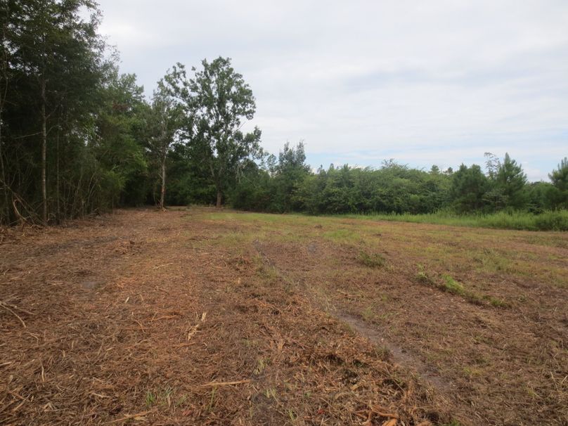 617A670A-4B48-4DB8-96AA-2EC67CE5D263