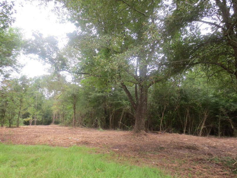 C02B3A4A-DCCC-417C-A29B-89D7B65B33CB