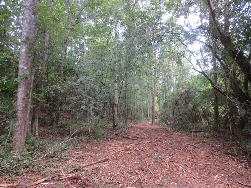 7A65EEC5-18CC-4A83-9E77-F83B46F1BE85