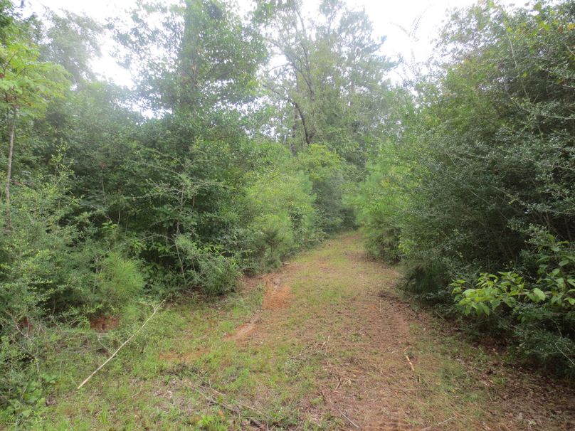 7F8CF2F7-9028-4B75-B348-6BCACC06F6B0